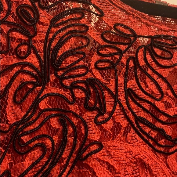 Flirty Boho Free People lace/appliqué dress - Picture 8 of 8